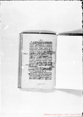 Fotogramma C 5