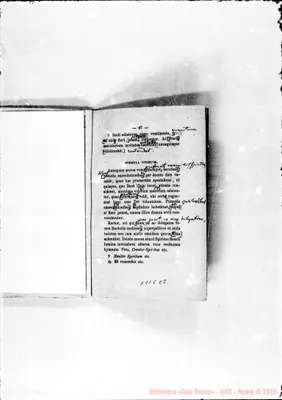 Fotogramma C 8