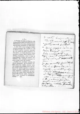 Fotogramma E 12