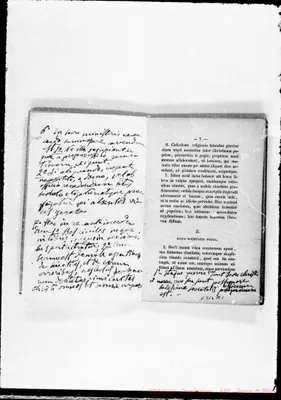 Fotogramma A 1