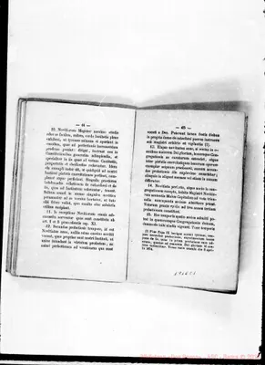 Fotogramma C 1