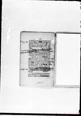Fotogramma D 5