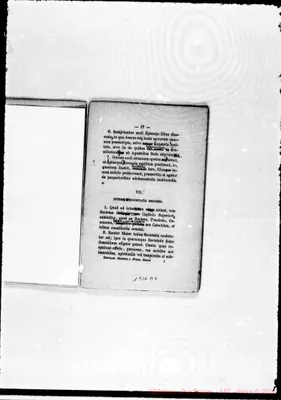 Fotogramma D 6