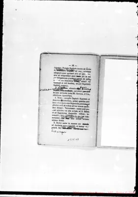 Fotogramma D 7