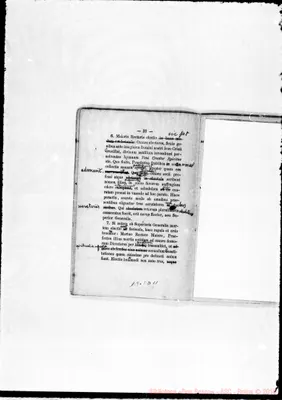 Fotogramma D 11
