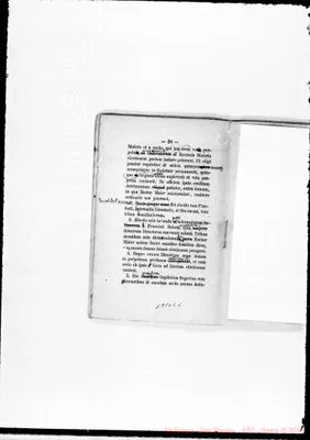 Fotogramma E 1