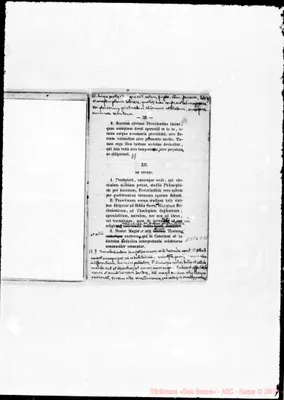 Fotogramma E 12