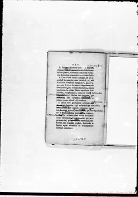 Fotogramma B 8