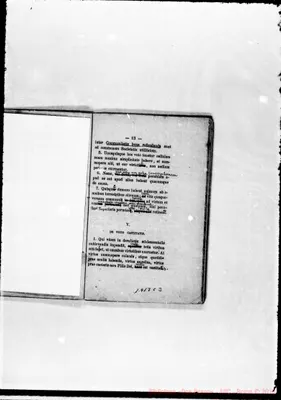 Fotogramma C 3