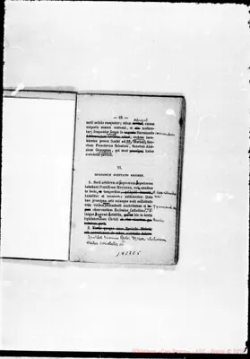 Fotogramma C 5