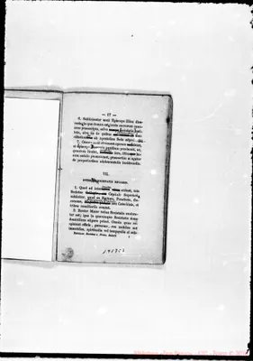 Fotogramma C 7