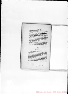 Fotogramma D 10