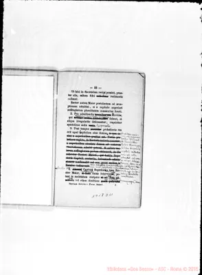 Fotogramma D 11
