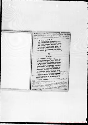Fotogramma E 1