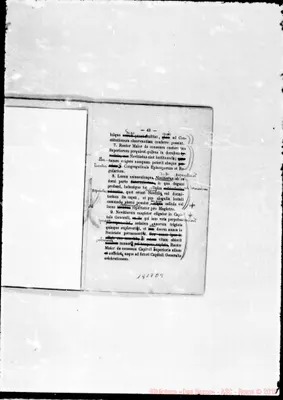 Fotogramma E 9