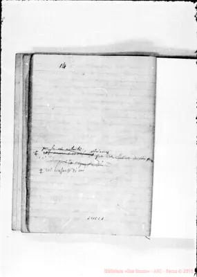 Fotogramma C 1