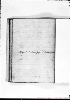 Fotogramma C 11