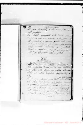 Fotogramma D 12