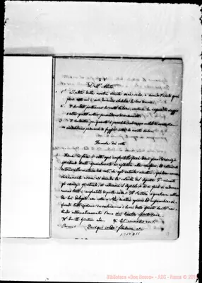 Fotogramma D 11
