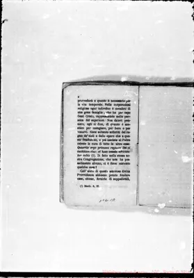 Fotogramma B 8