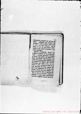 Fotogramma C 1