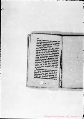 Fotogramma C 2