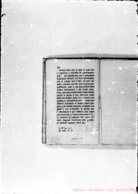 Fotogramma C 8