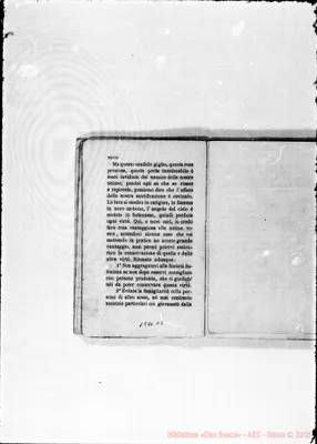 Fotogramma D 2