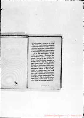 Fotogramma D 11