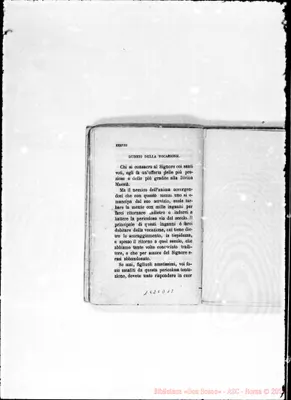 Fotogramma D 12