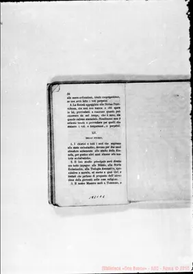 Fotogramma C 1