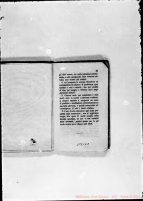 Fotogramma C 2