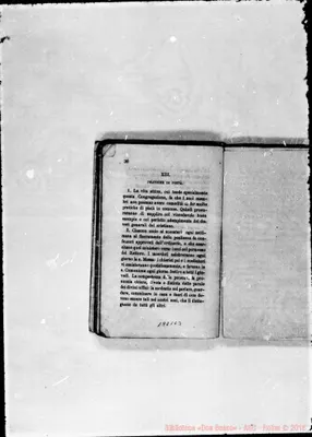 Fotogramma C 3