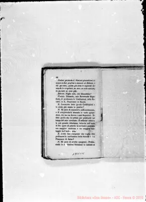 Fotogramma C 11