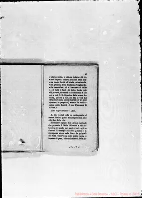 Fotogramma D 2