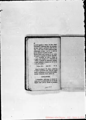 Fotogramma D 3