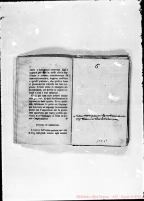 Fotogramma D 7