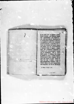 Fotogramma D 8