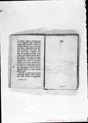 Fotogramma D 11
