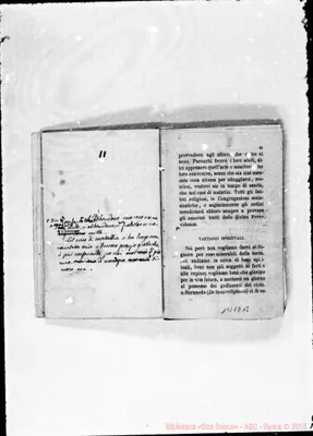 Fotogramma D 12