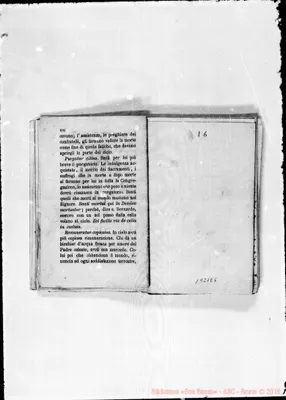 Fotogramma E 5