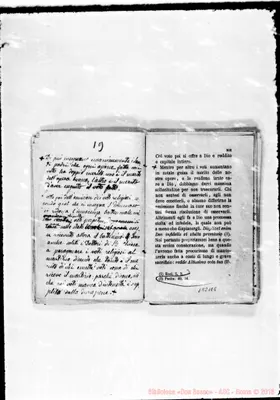 Fotogramma E 8