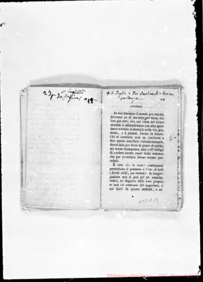 Fotogramma E 12