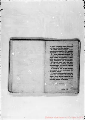 Fotogramma C 3