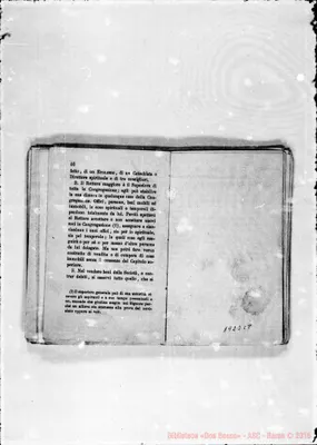 Fotogramma C 8