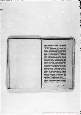 Fotogramma C 11