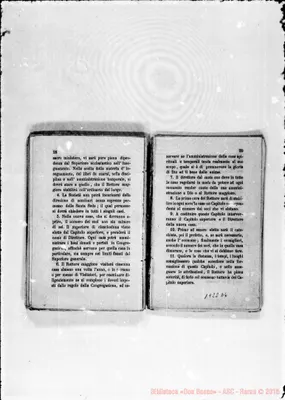 Fotogramma D 6