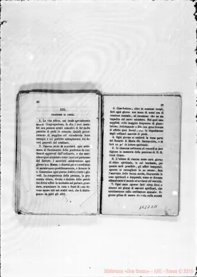 Fotogramma D 11