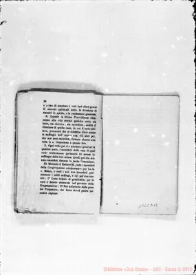 Fotogramma D 12