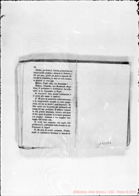 Fotogramma E 6